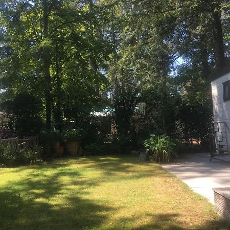 Sfeervol Vakantiehuisje In Bosrijke Omgeving Vorden Exterior photo