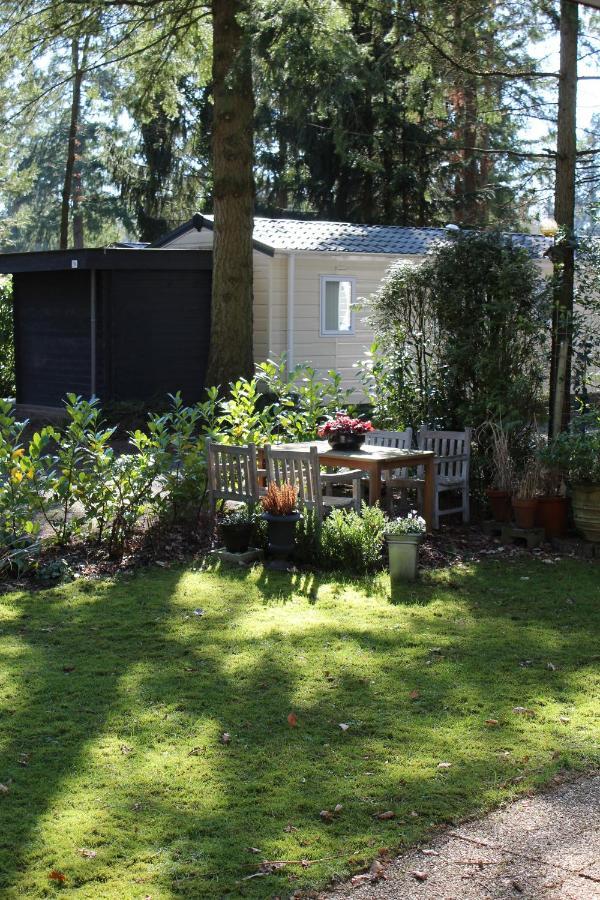 Sfeervol Vakantiehuisje In Bosrijke Omgeving Vorden Exterior photo
