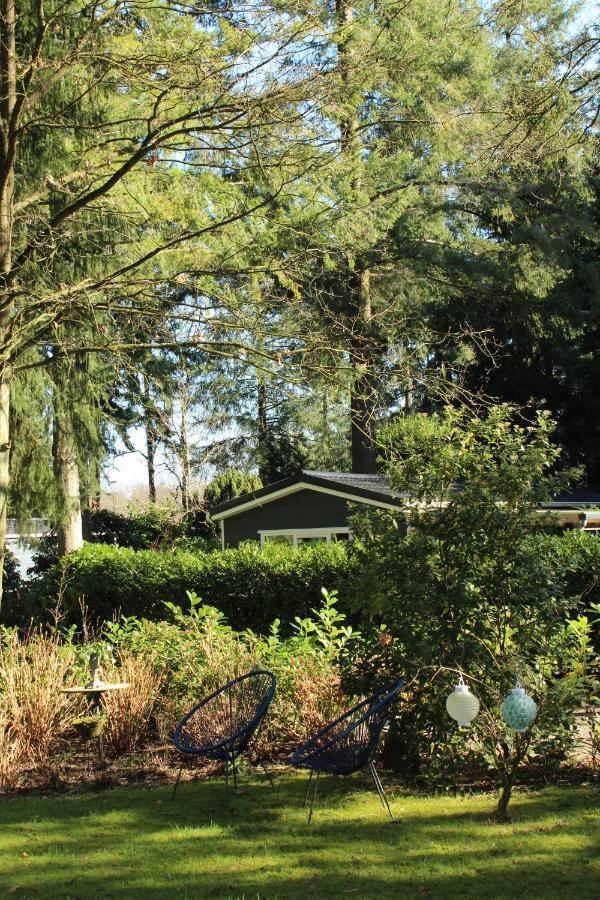 Sfeervol Vakantiehuisje In Bosrijke Omgeving Vorden Exterior photo