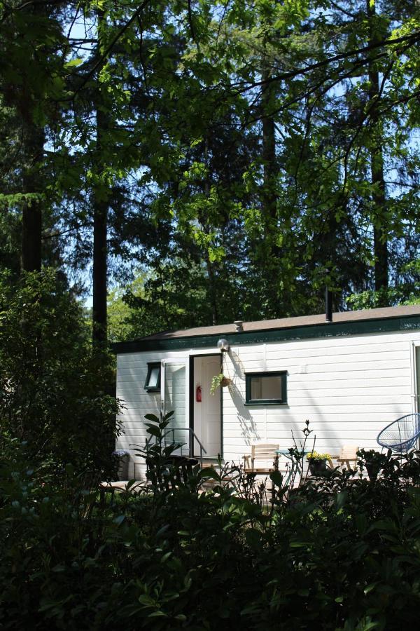Sfeervol Vakantiehuisje In Bosrijke Omgeving Vorden Exterior photo