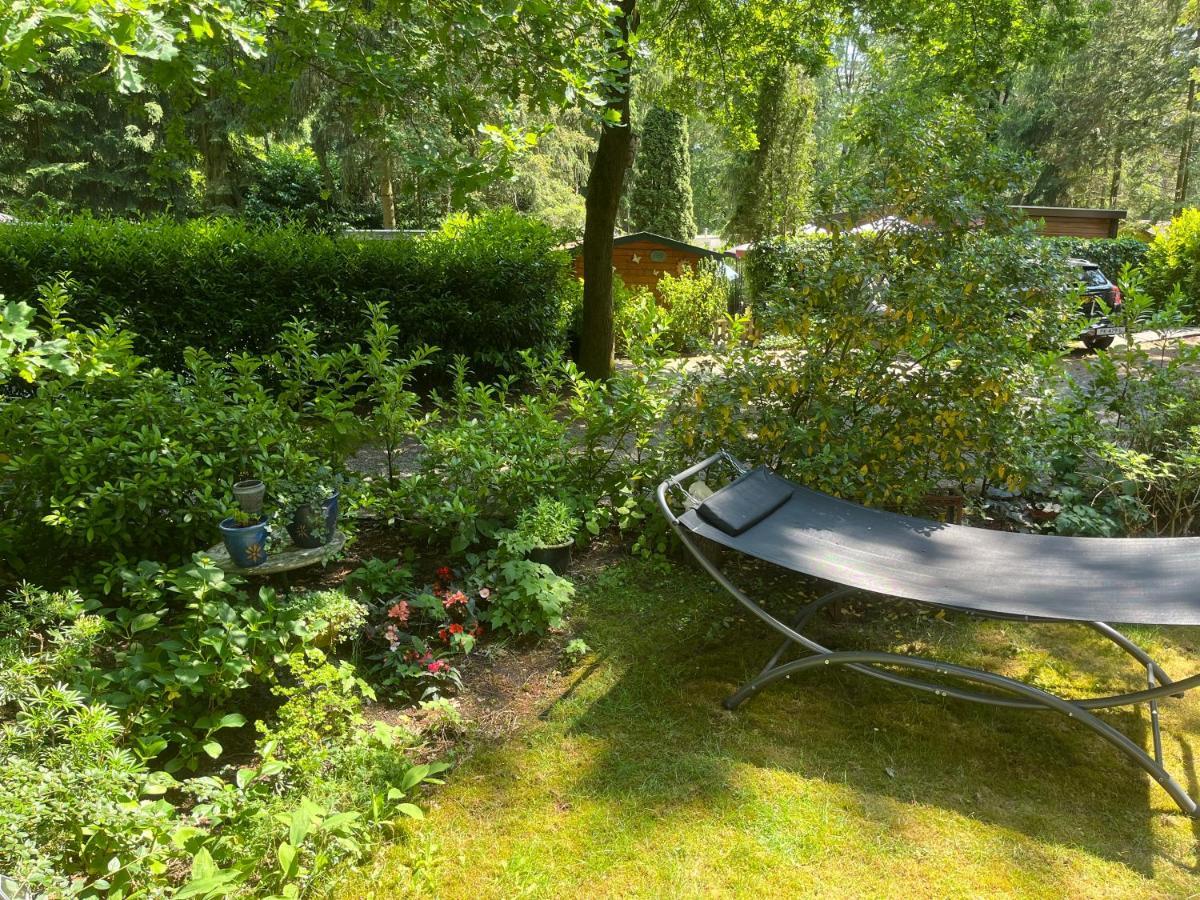 Sfeervol Vakantiehuisje In Bosrijke Omgeving Vorden Exterior photo